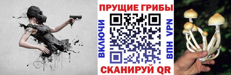 Галлюциногенные грибы прущие грибы  Нягань 